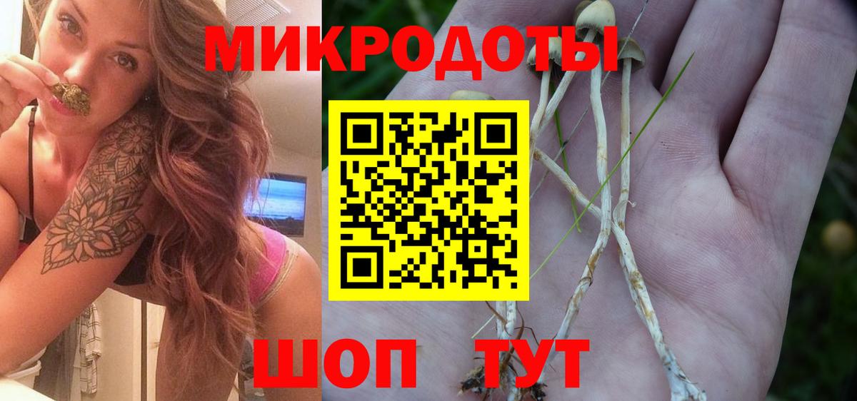 где купить   Псилоцибиновые грибы мицелий  Вход с VPN  Архангельск 