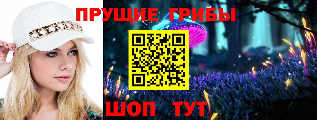 Псилоцибиновые грибы Psilocybine cubensis Архангельск